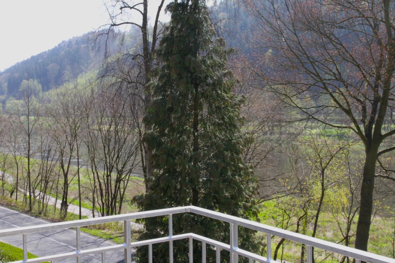 Villa Haus Elbsinfonie Bad Schandau Exterior foto